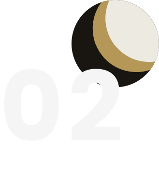 section